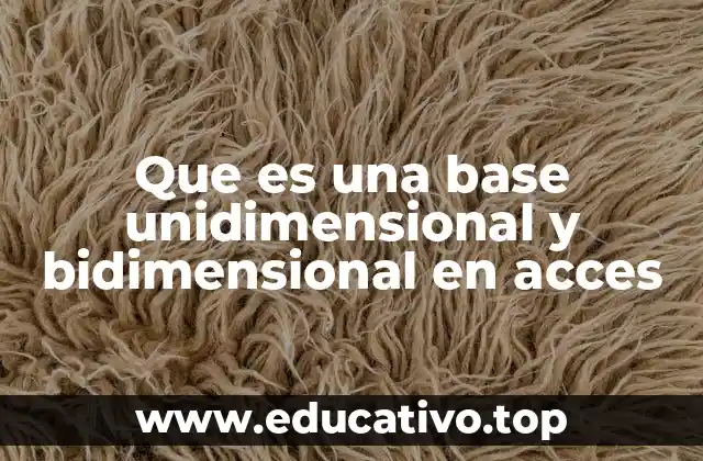 Que es una base unidimensional y bidimensional en acces