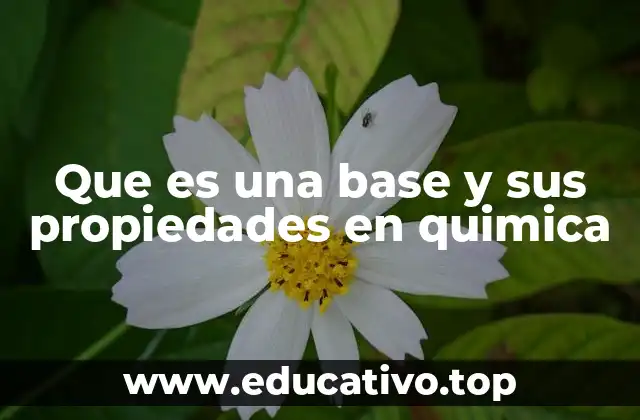 Que es una base y sus propiedades en quimica