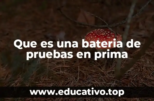 Que es una bateria de pruebas en prima