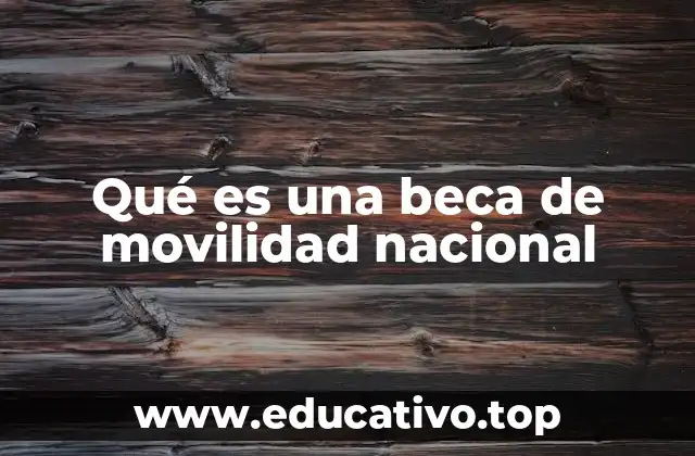 Qué es una beca de movilidad nacional