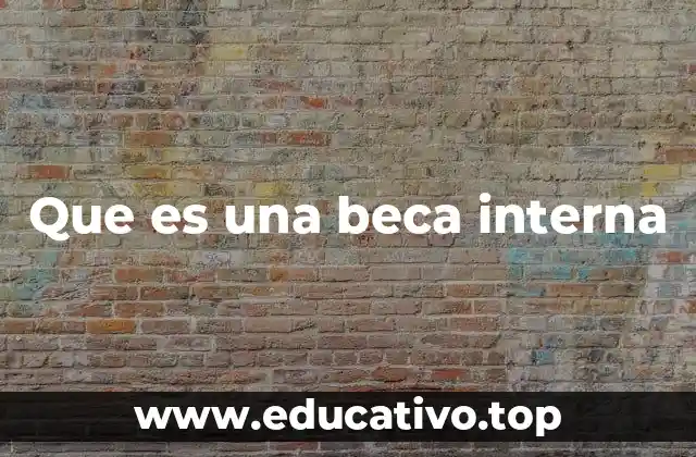 Que es una beca interna