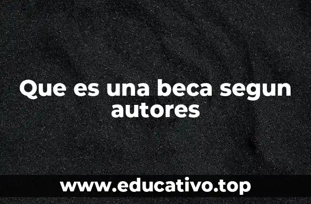 Que es una beca segun autores