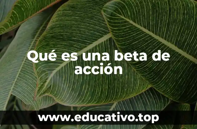 Qué es una beta de acción