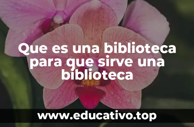 Que es una biblioteca para que sirve una biblioteca