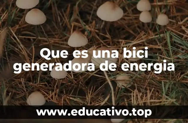 Que es una bici generadora de energia