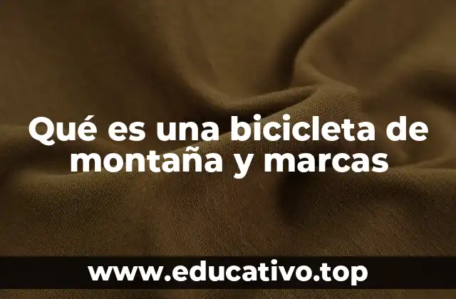 Qué es una bicicleta de montaña y marcas