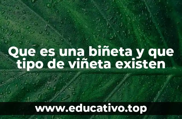 Que es una biñeta y que tipo de viñeta existen