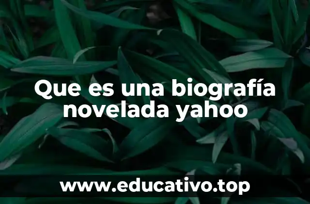 Que es una biografía novelada yahoo