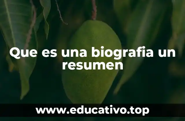 Que es una biografia un resumen