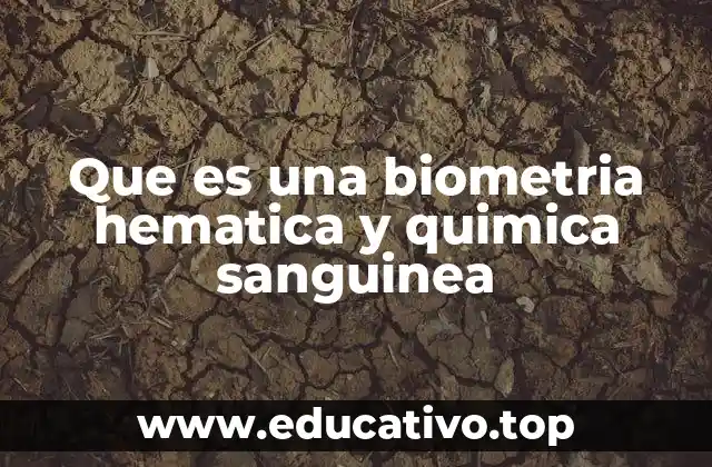 Que es una biometria hematica y quimica sanguinea