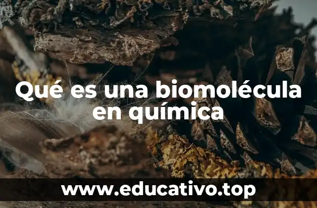 Qué es una biomolécula en química