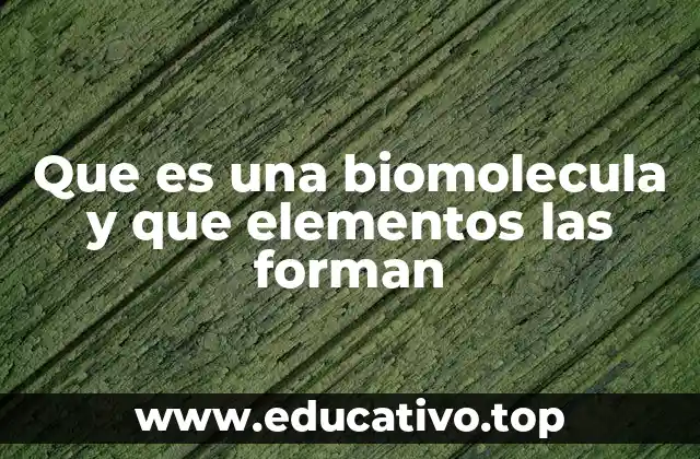 Que es una biomolecula y que elementos las forman