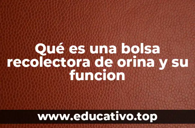 Qué es una bolsa recolectora de orina y su funcion