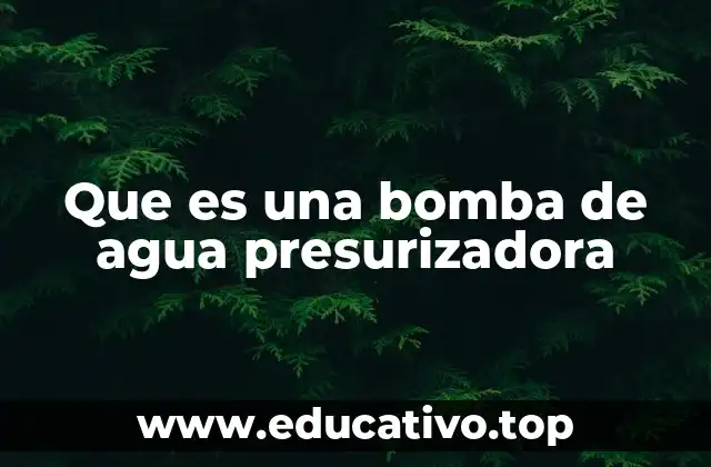 Que es una bomba de agua presurizadora