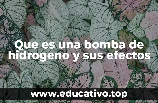 Que es una bomba de hidrogeno y sus efectos