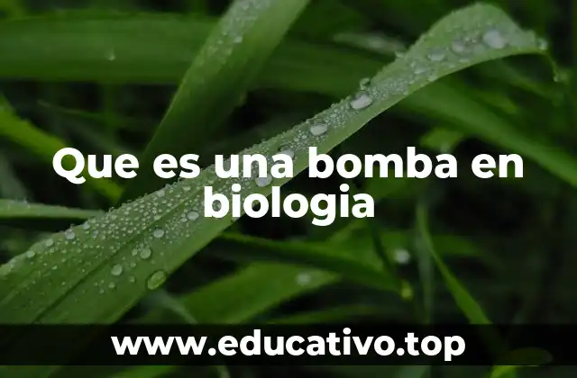 Que es una bomba en biologia