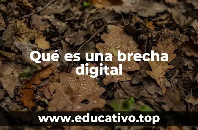 Qué es una brecha digital