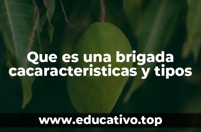 Que es una brigada cacaracteristicas y tipos