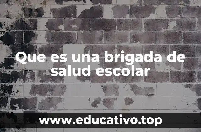 Que es una brigada de salud escolar