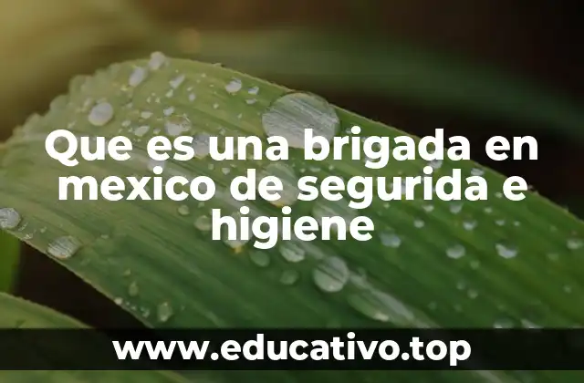 Que es una brigada en mexico de segurida e higiene
