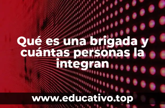 La importancia de la organización en las brigadas