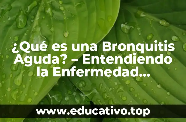 ¿Qué es una Bronquitis Aguda? – Entendiendo la Enfermedad Respiratoria