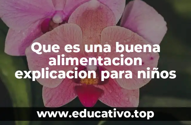 Que es una buena alimentacion explicacion para niños