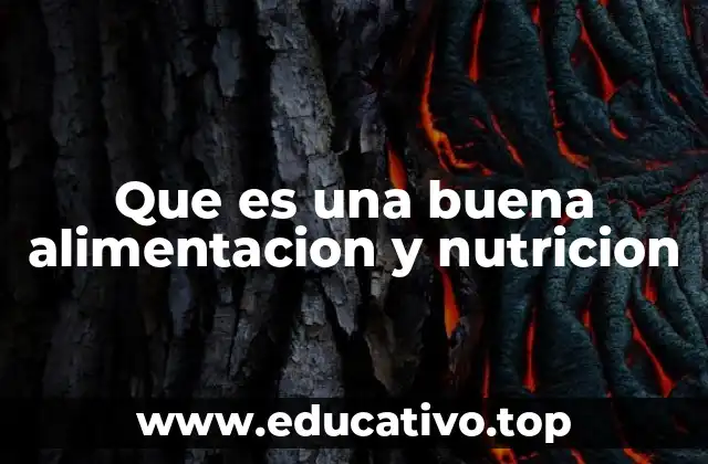Que es una buena alimentacion y nutricion