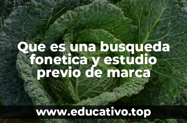 La importancia de evaluar sonoridad y significado antes de registrar una marca