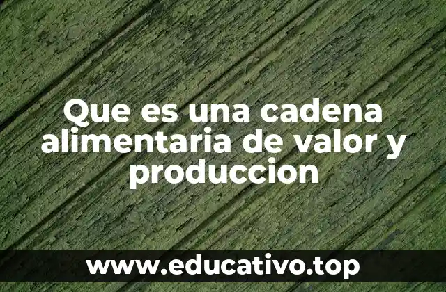 Que es una cadena alimentaria de valor y produccion