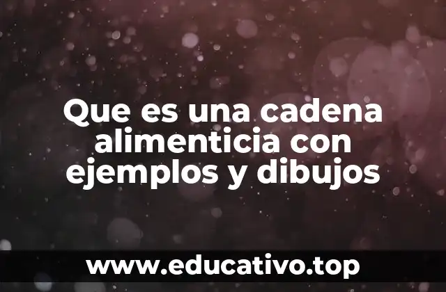 Que es una cadena alimenticia con ejemplos y dibujos