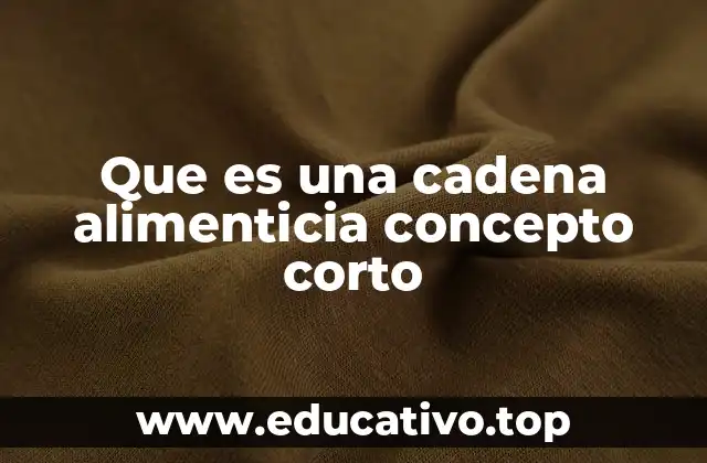 Que es una cadena alimenticia concepto corto