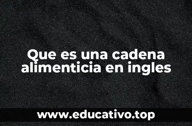 Que es una cadena alimenticia en ingles