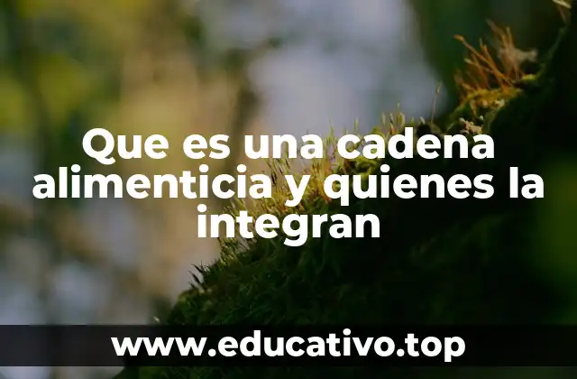 Que es una cadena alimenticia y quienes la integran