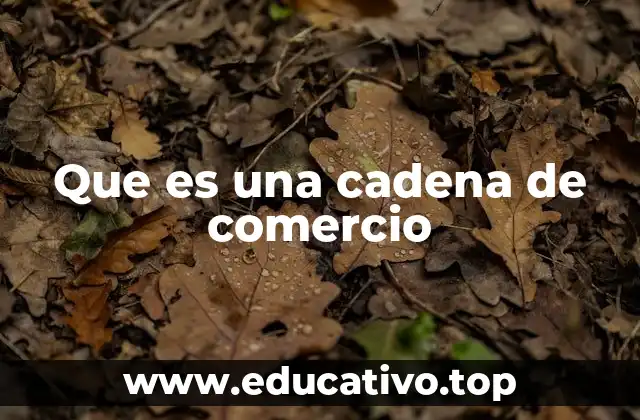 Que es una cadena de comercio