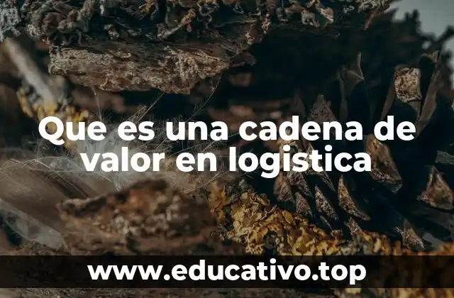 Que es una cadena de valor en logistica