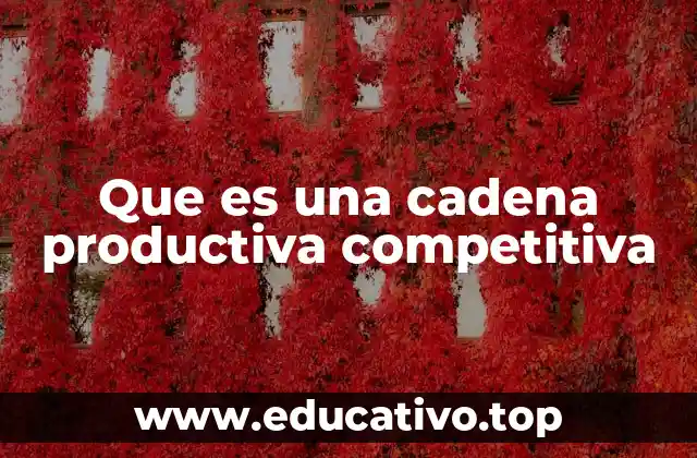 Que es una cadena productiva competitiva
