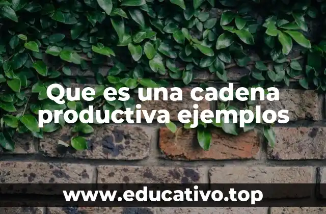 Que es una cadena productiva ejemplos