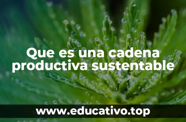 El impacto de las cadenas productivas en el medio ambiente