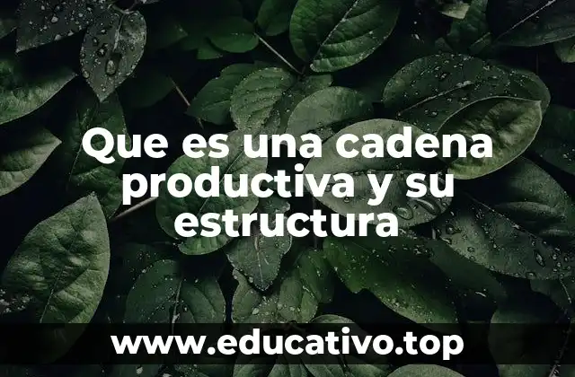Que es una cadena productiva y su estructura