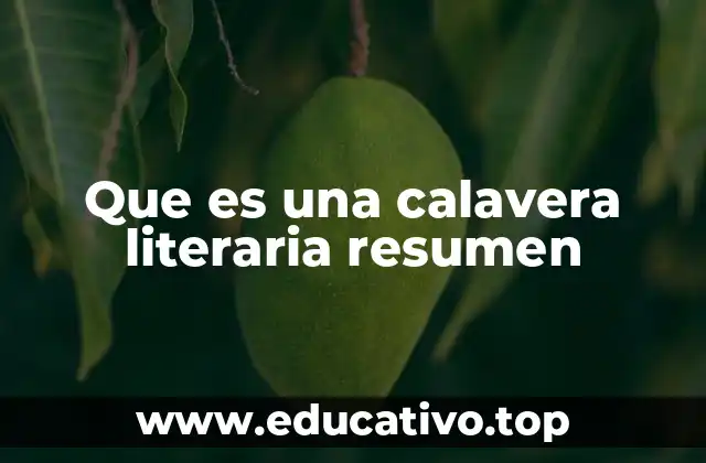 Que es una calavera literaria resumen