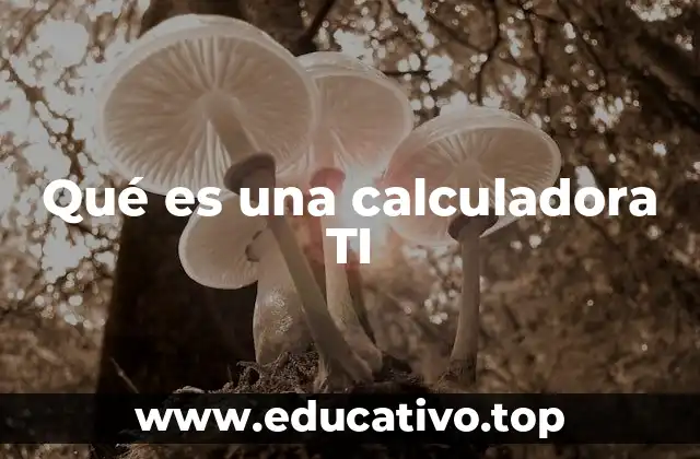 Qué es una calculadora TI