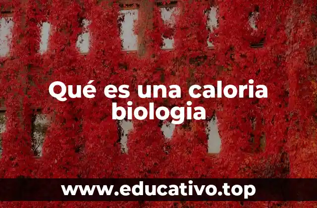 Qué es una caloria biologia