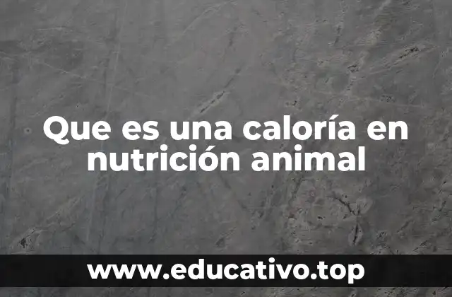 Que es una caloría en nutrición animal
