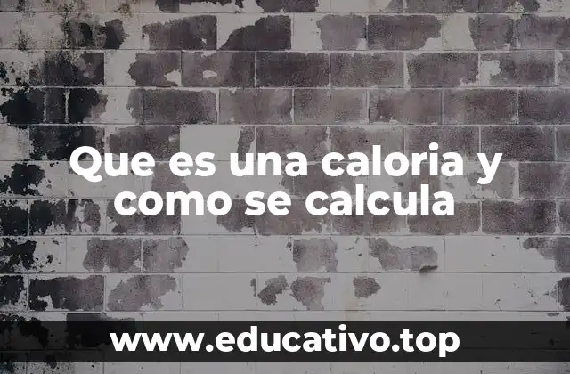 Que es una caloria y como se calcula
