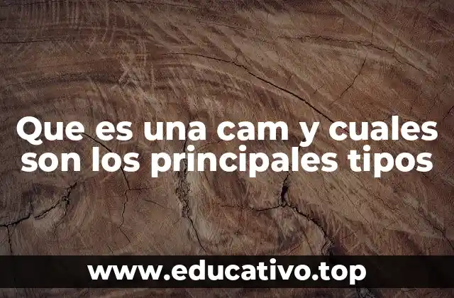 Que es una cam y cuales son los principales tipos