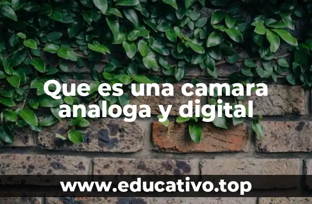 Que es una camara analoga y digital
