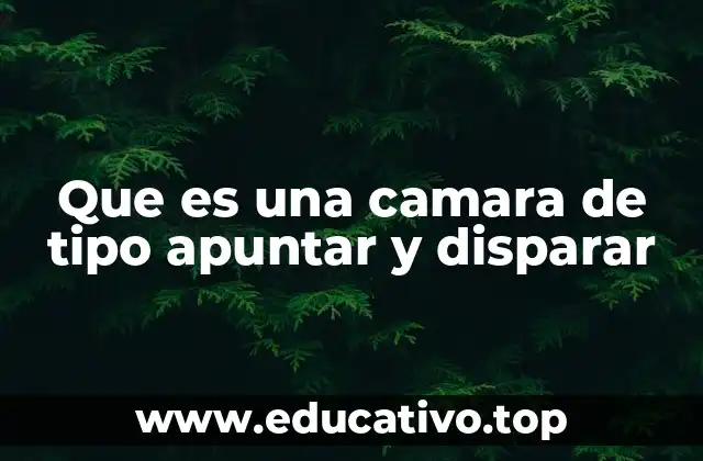 Que es una camara de tipo apuntar y disparar