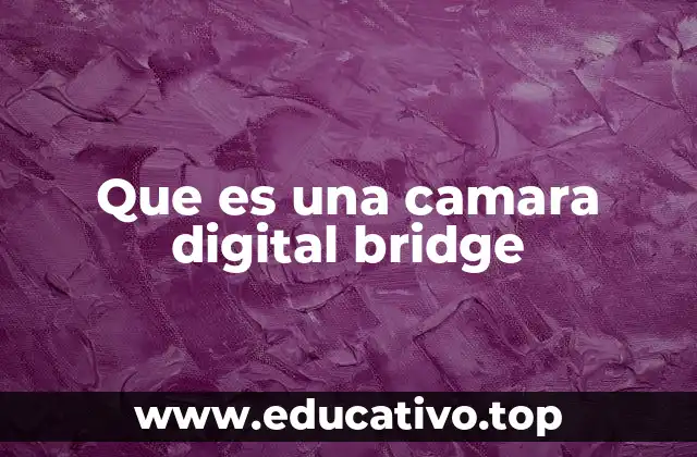 Que es una camara digital bridge