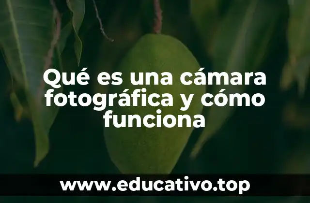 Qué es una cámara fotográfica y cómo funciona